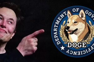 2024 11 13 doge government efficiency