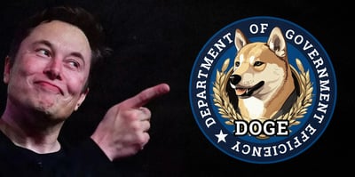 2024 11 13 doge government efficiency