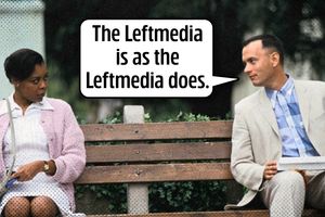 2024 11 21 gump bench leftmedia