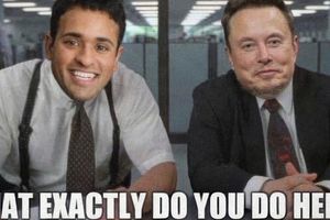 2024 11 25 doge musk ramaswamy