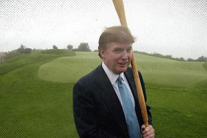 2024 11 27 trump stick