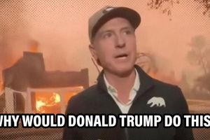 2025 1 9 newsom blame