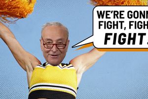 2025 1 13 schumer fight fight fight