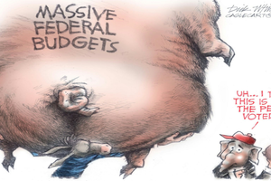 budget