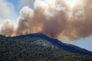 wildfire