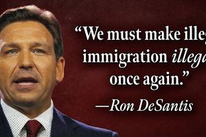 2025 1 17 DeSantis illegal again
