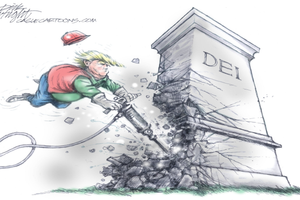 DEI