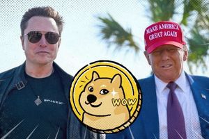 2025 2 10 doge success