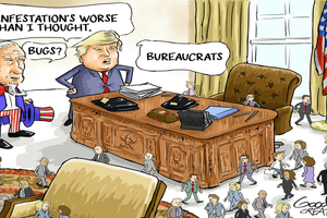 bureaucrat