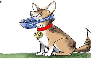 doge