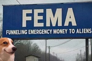 2025 2 13 fema doge