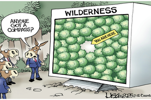 wilderness