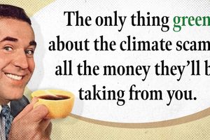 2024 2 26 green climate scam