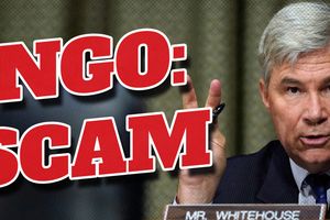 2025 3 3 ngo scam whitehouse