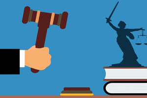 judge
