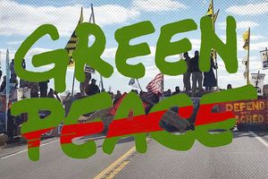 2025 3 21 greenpeace eco terrorism