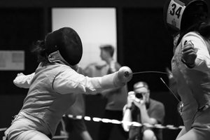 fencing
