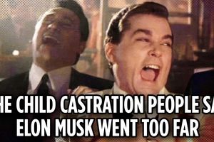 2025 4 25 elon musk too far