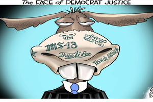 MS13