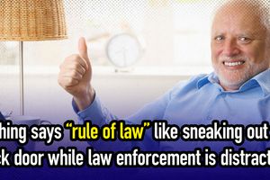 2025 5 1 democrats rule of law