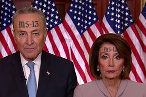 ms13