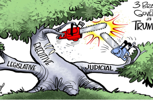 branch