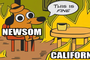 newsom