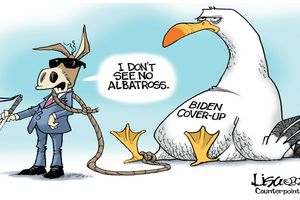 albatross