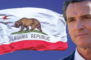 newsom