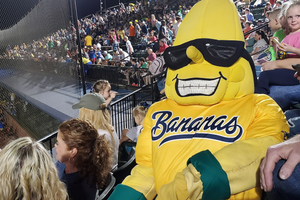 bananas