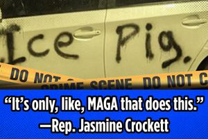 2025 7 11 political violence ice democrats jasmine crockett