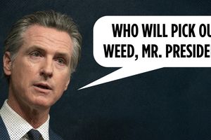 2025 7 14 newsom who will pick weed