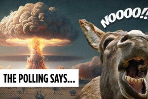 2025 7 28 democrats nuked polls