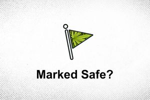 2025 8 16 marked safe marijuana