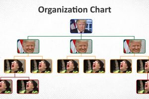 2025 8 26 trump organization chart