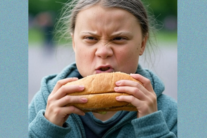 thunberg