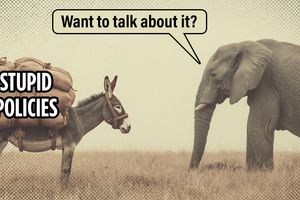 2025 10 23 donkey elephant stupid policy burden