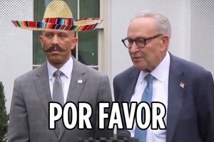 2025 11 5 jefferies schumer sombrero por favor