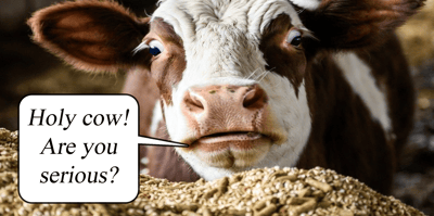 cow