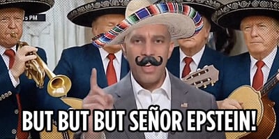 2025 11 13 jefferies epstein shutdown