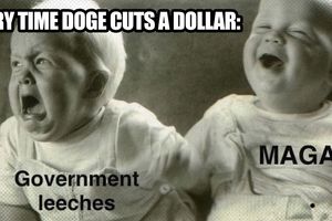 2025 11 25 doge cuts leaches