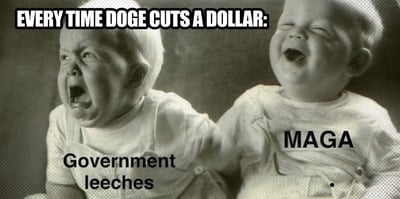 2025 11 25 doge cuts leaches
