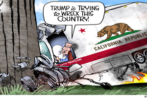 newsom