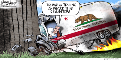 newsom