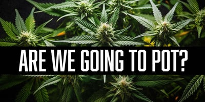 2025 12 19 pot marijuana