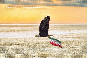 2026 1 6 eagle flag iran