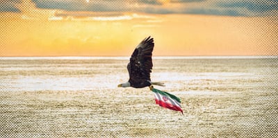 2026 1 6 eagle flag iran