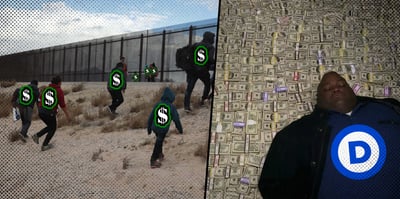 2026 1 20 dems money immigrants
