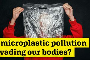 2026 1 28 microplastics
