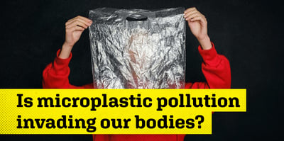 2026 1 28 microplastics